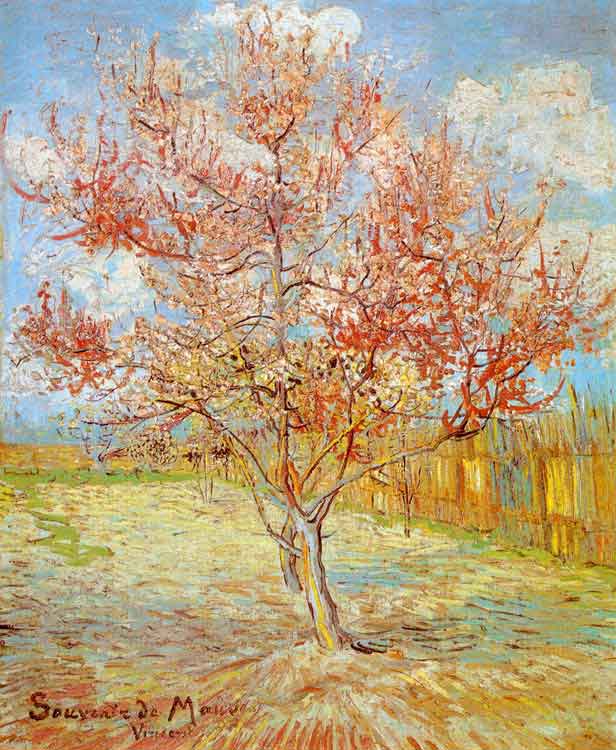 Van Gogh Peach Tree